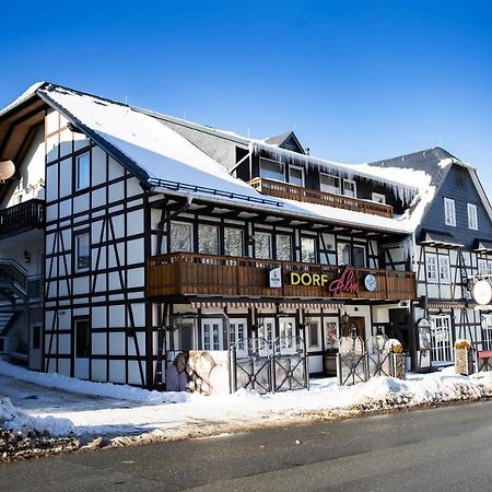 Gaestehaus Dorf-Alm Willingen  Esterno foto
